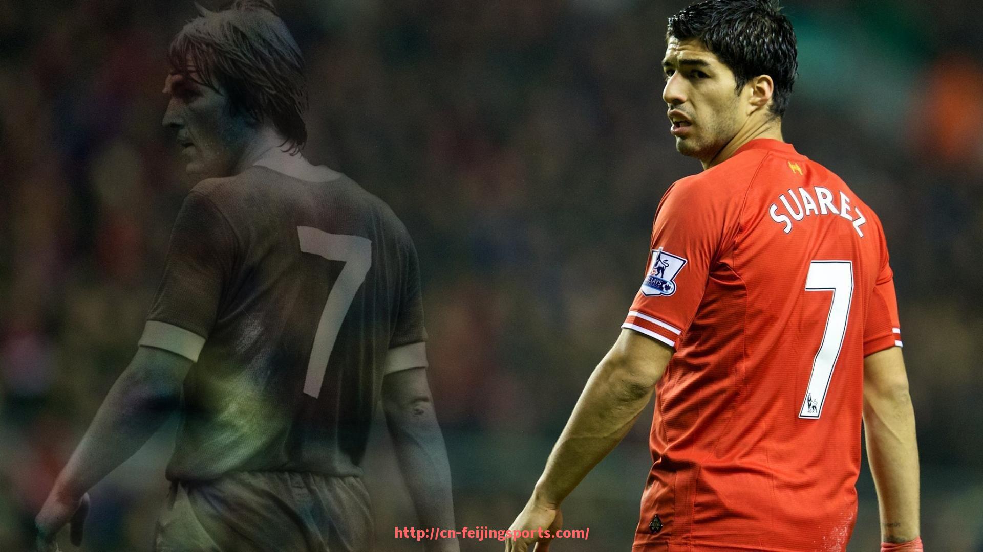 飞鲸体育直播-东北虎CBA球队发展现状及未来规划探讨